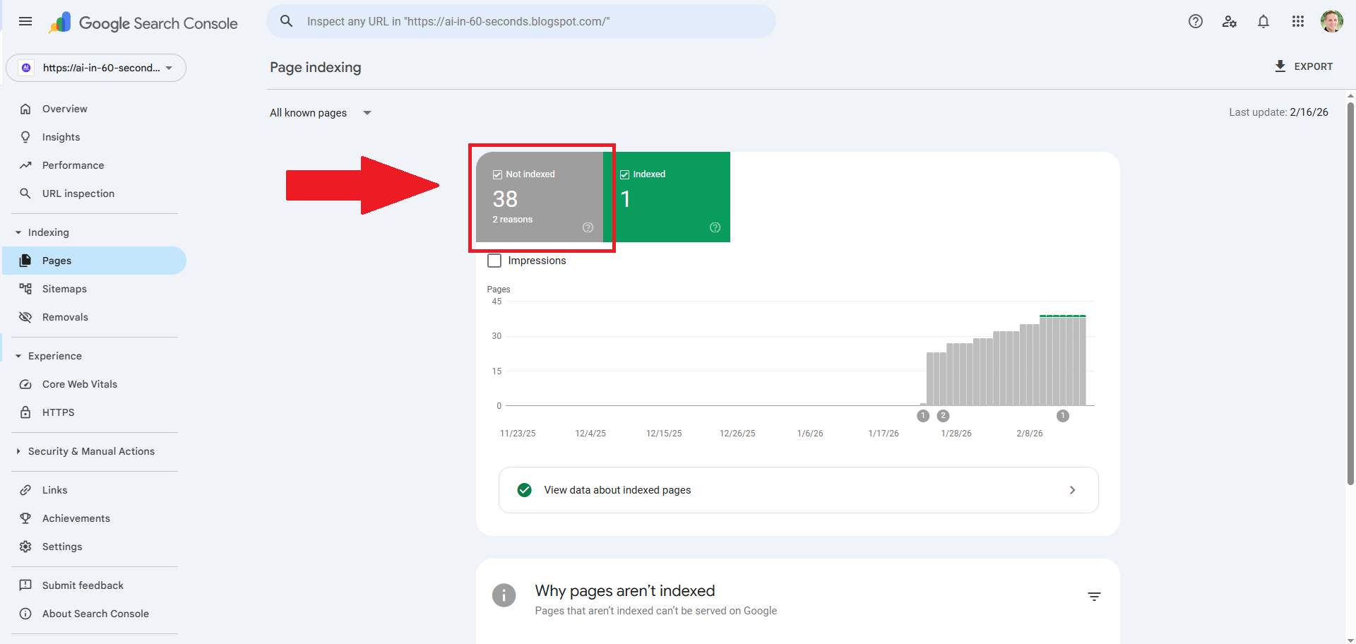 Screenshot of my AI generated website not getting indexed by Google