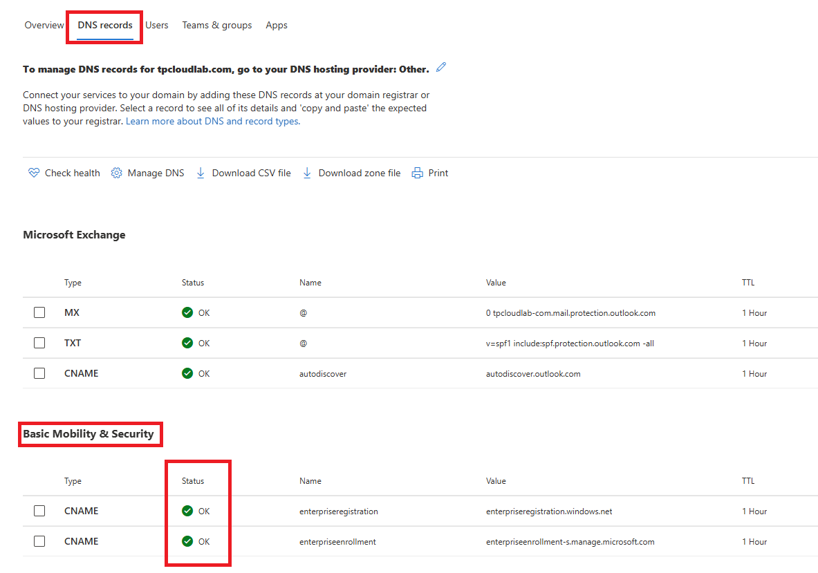Screenshot of the Microsoft Intune public DNS records configured properly