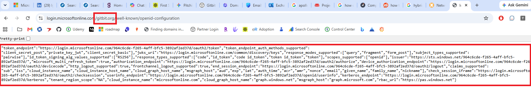 Screenshot showing OpenID config file success which means they have set up their domain in Microsoft 365