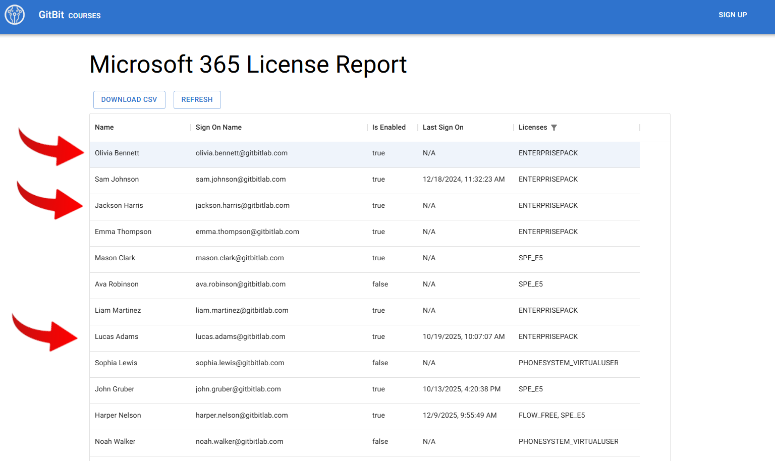 Screenshot of the Gitbit Microsoft 365 License Report Tool data in a web browser