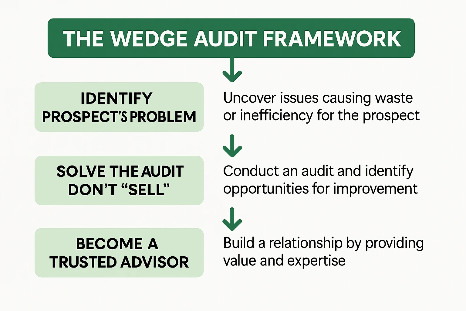 Overview of the Wedge Audit Framework that states 1. identify the problem; 2. Solve the Audit Don't sell; 3. Become a trusted advisor.